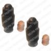 DELPHI PCK79 Dust Cover Kit, shock absorber